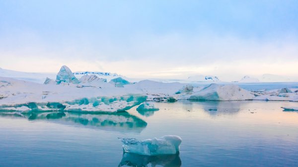 Prix attractifs pour une croisière d'exception en Antarctique