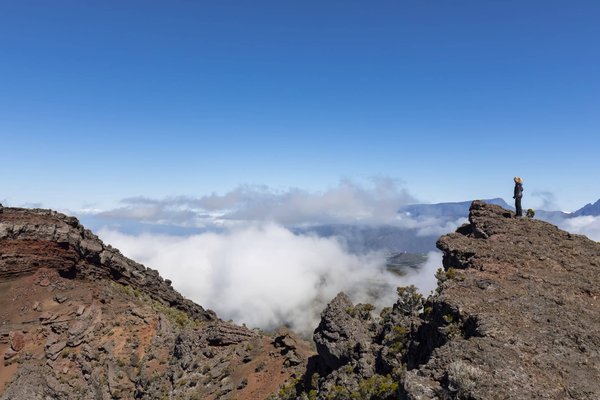Quelles sont les meilleures pratiques pour la gestion durable des forêts communales ?